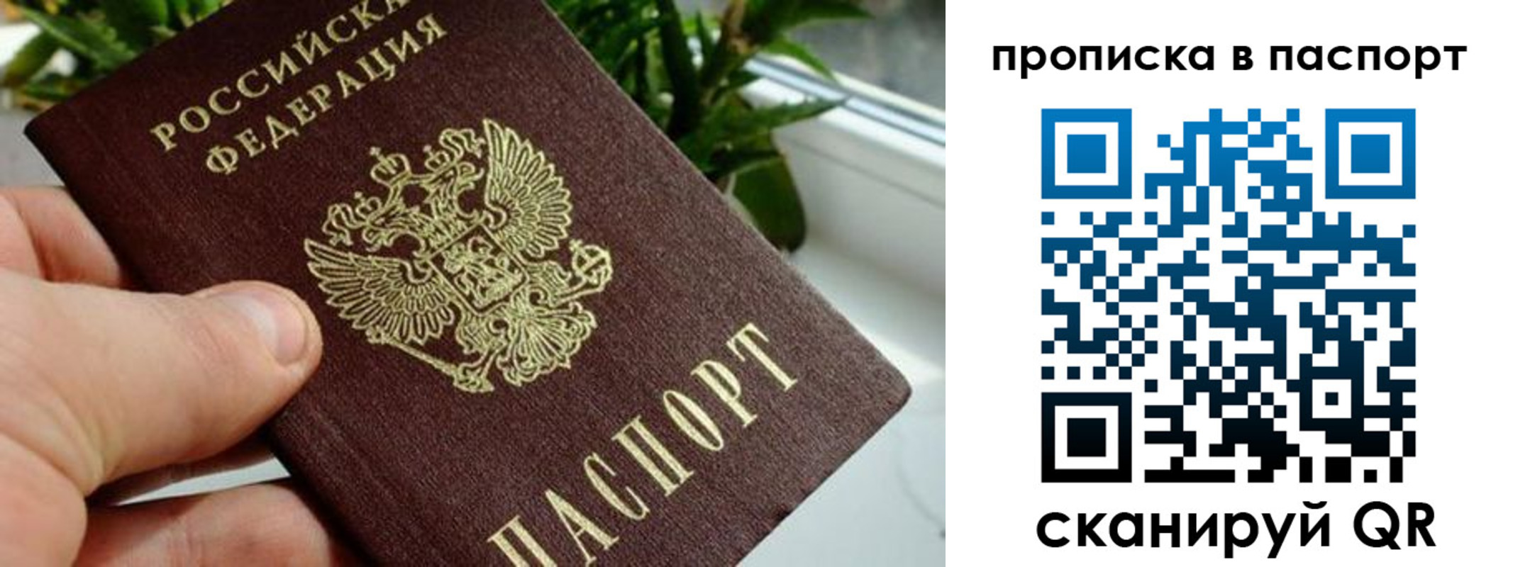 пропишу в квартире в Мончегорске