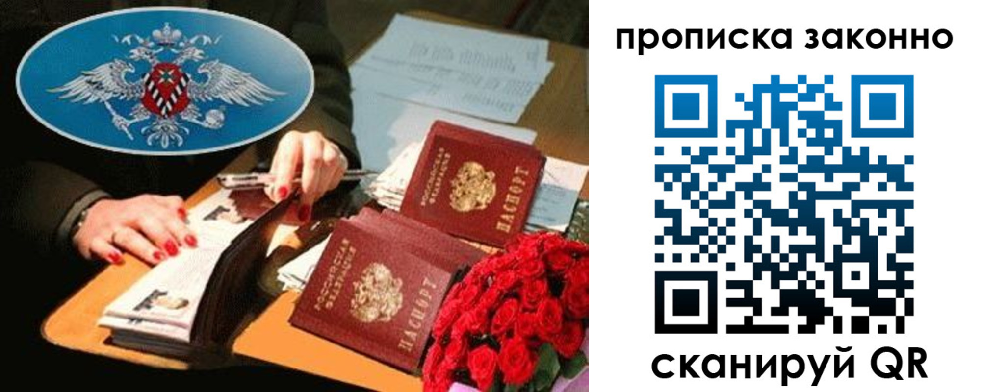 прописка 2025 в Мончегорске